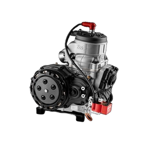 TM R2 Total Black Engine Package - Italian Motors USA LLC