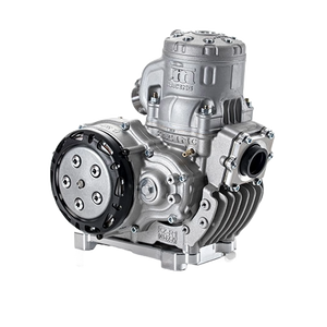 TM KZ R1 Engine Package (Stock) - Italian Motors USA LLC
