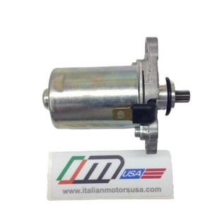 IAME Starter - Gazelle and MiniSwift - Italian Motors USA LLC