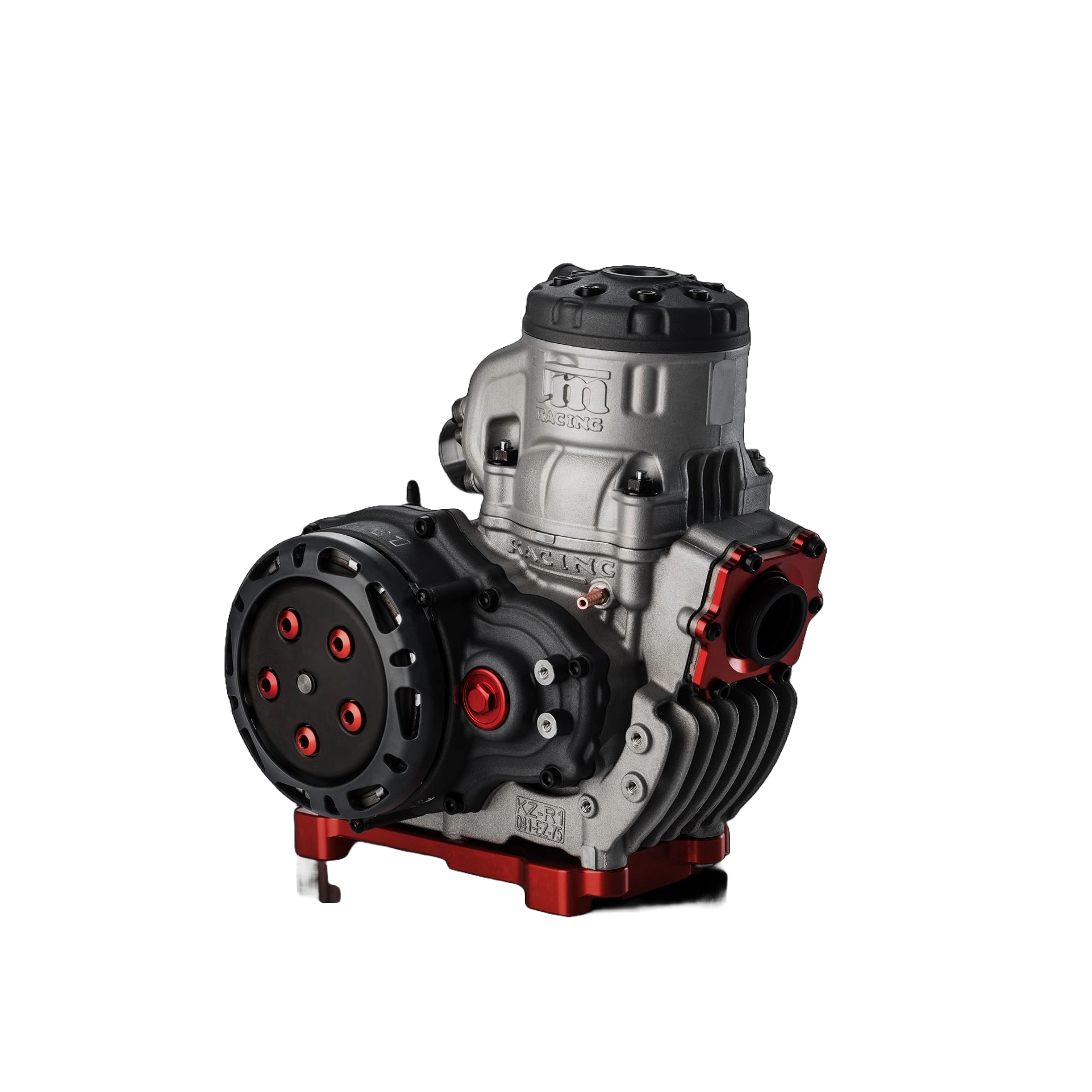 TM KZ R1 TM KZ R1
