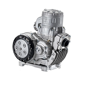TM 145CC R1 Engine Package - Italian Motors USA LLC