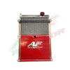 AF Radiator - OK KZ UNO Big Screen / Curtain - Italian Motors USA LLC