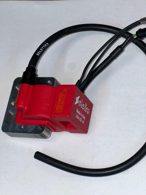 TM COIL Selettra KZ R2 - Italian Motors USA LLC