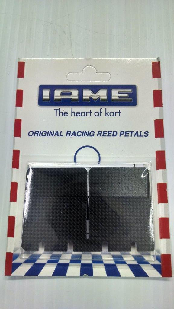 Carbon Fiber Reeds MY09 / X30 / Dragon / Nordam Italian Motors USA LLC