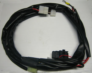 X30 Wiring Harness - Early - Italian Motors USA LLC